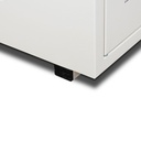 Armoire de sécurité multirisques haute 4 portes TRIONYX