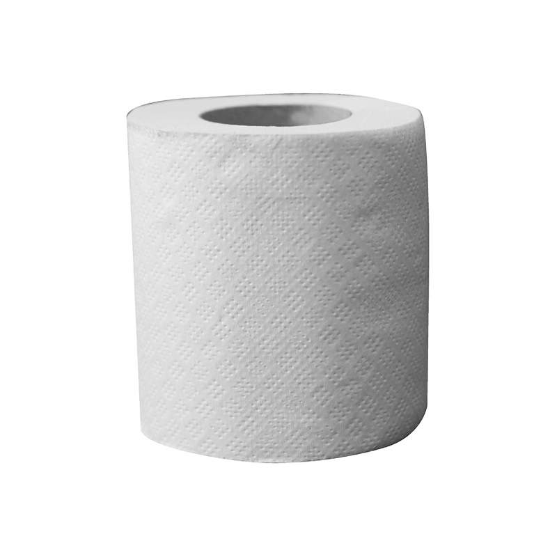 [202] Papier toilette hygiénique Écolabel - Colis 96 rouleaux