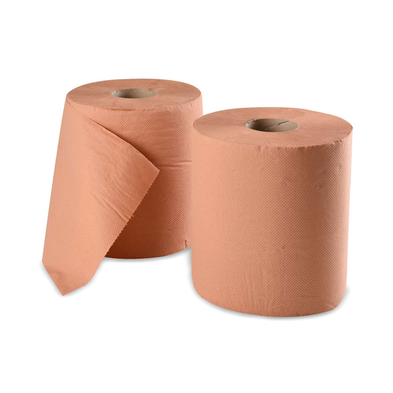 [45902C] Bobines d'essuyage chamois Écolabel 800 formats x 2